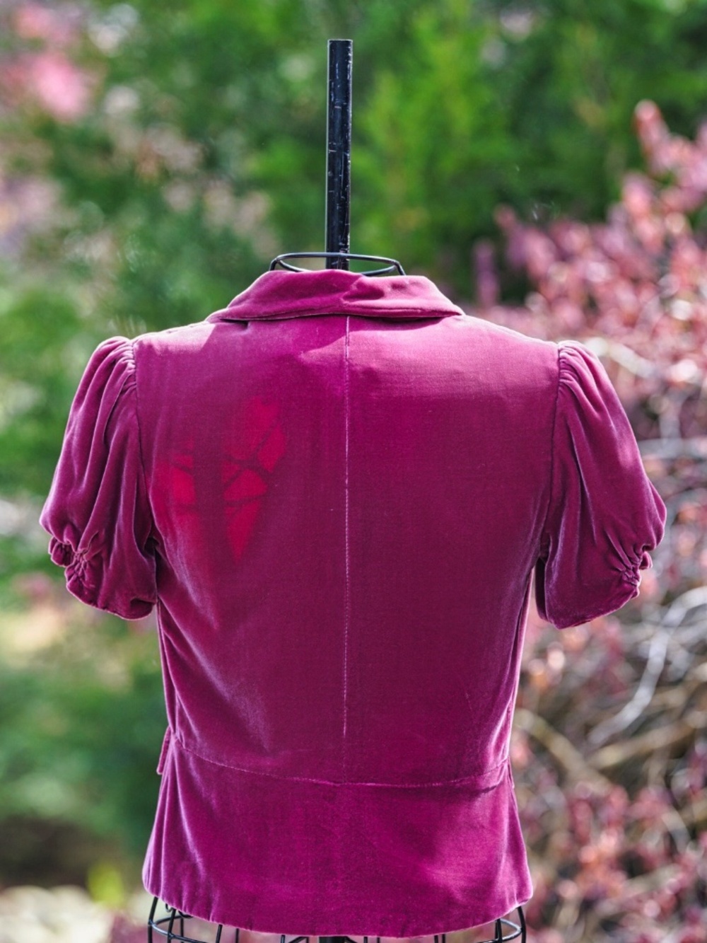 Twelfth Street by Cynthia Vincent Velvet Blazer Jacket - Picture 3 of 4